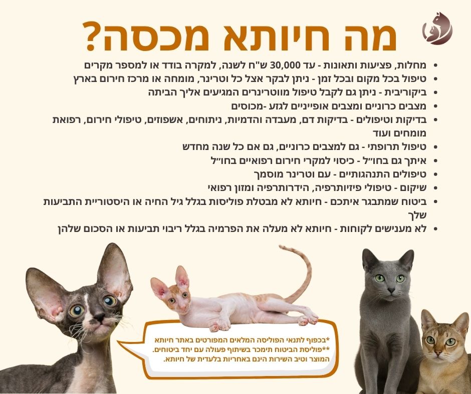 ביטוח לחיית מחמד