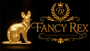 fancy rex