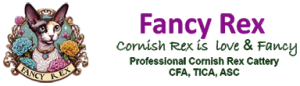 fancy rex