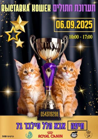 ВЫСТАВКА КОШЕК В ХАЙФЕ! 06.09.2025
