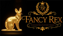 fancy rex