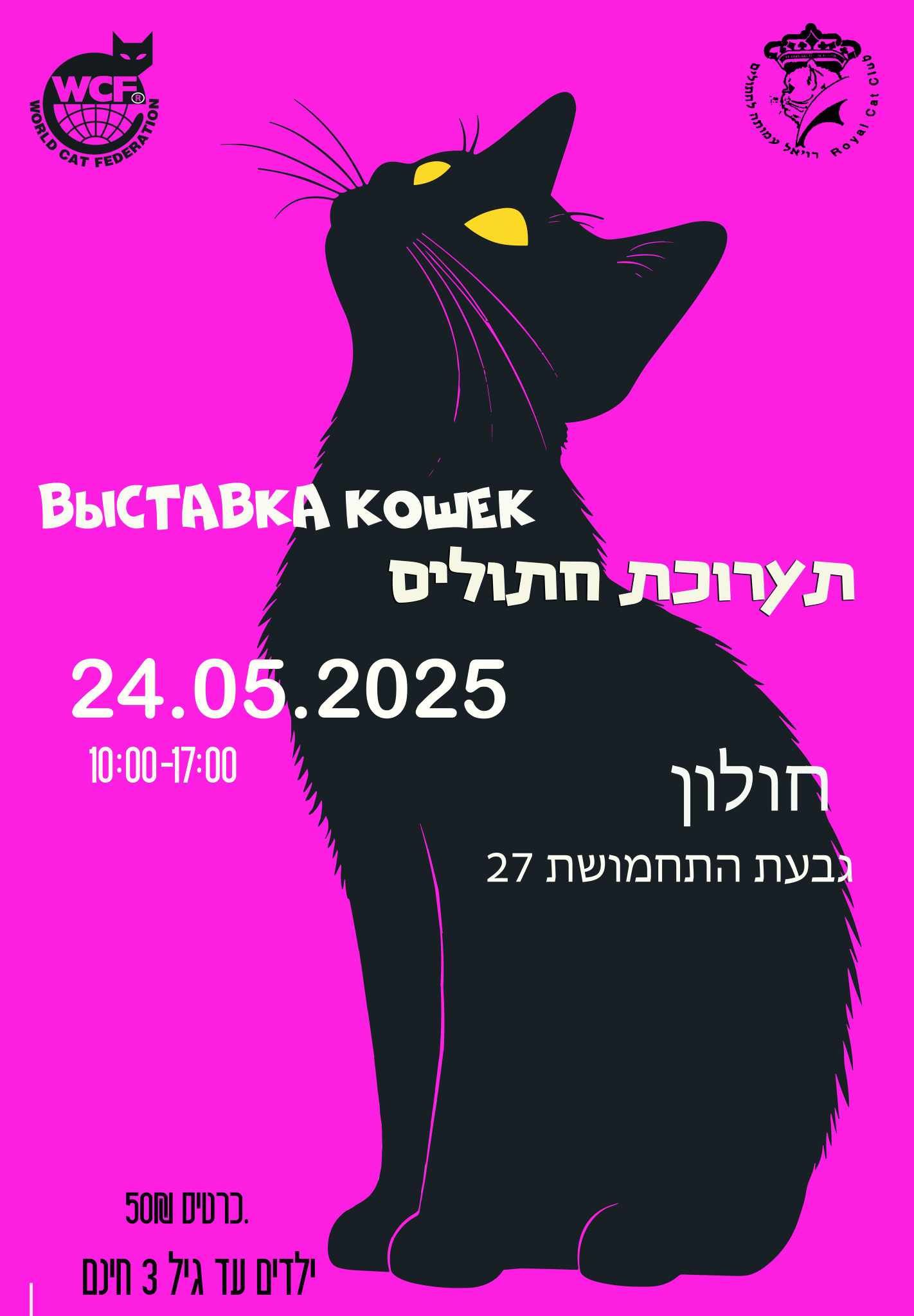 תערוכת חתולים 24.05.2025
